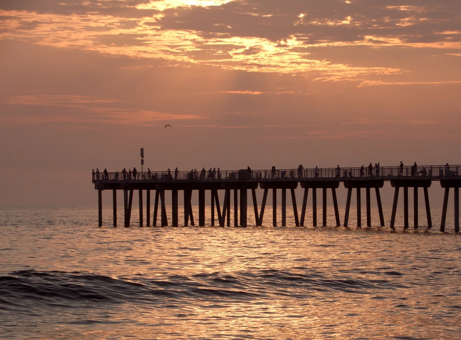Surfer entering the water at sunset in Hermosa Beach